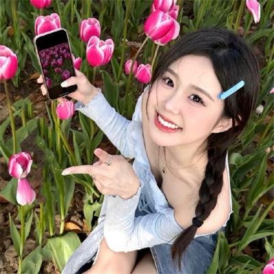 仙踪迷失